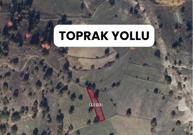 GİRESUN ALUCRA KOMAN  KÖYÜNDE 527  M² TARLA SATILIKTIR - GİRESUN ALUCRA fotoğraf 8